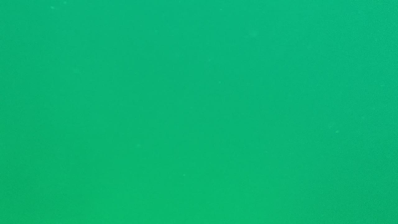 Mid-early Cabo Pulmo underwater frame with an even green field, scattered white particulate specks, soft haze, and no visible people or structures.