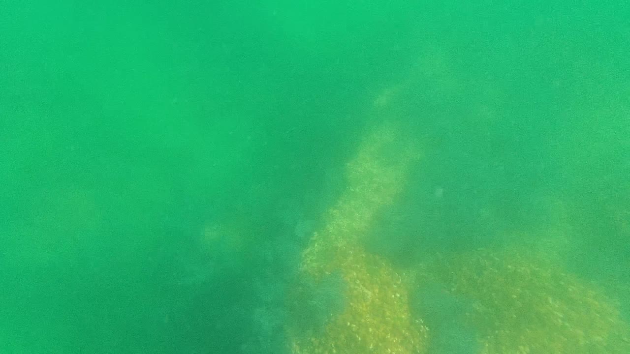 At 0:00, green water reveals pale seabed and algae patches in Cabo Pulmo, Baja California Sur, with no visible people.
