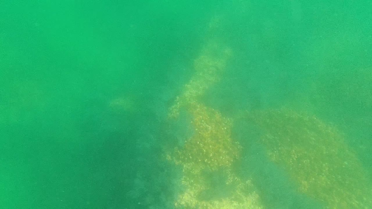 Turquoise water over a lighter seabed patch near center frame.
