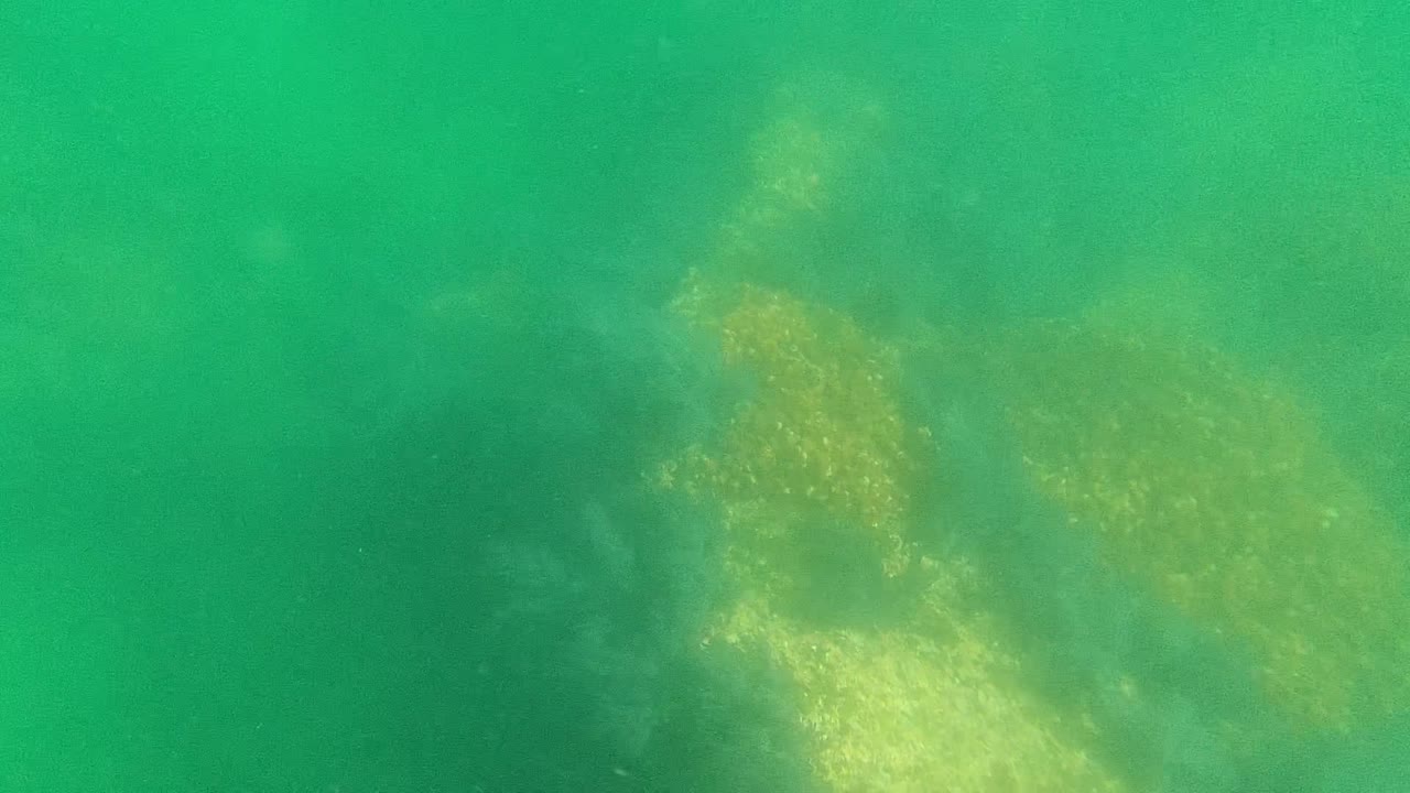 At 0:02, diffuse pale algae or seabed detail appears toward the right side under green water in Cabo Pulmo, Baja California Sur, with no visible people.