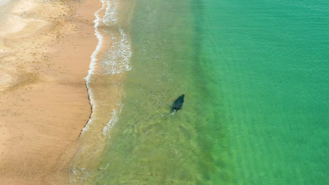 Person wading farther from the sandy shore through clear ocean water.