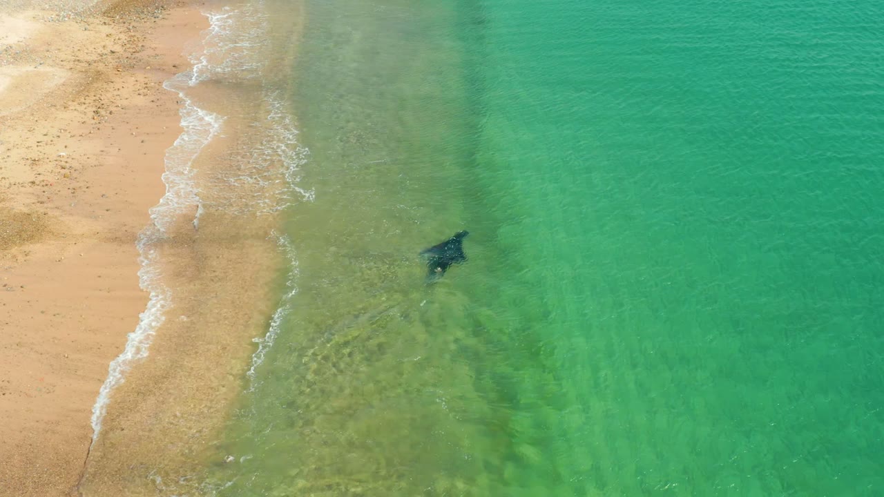 At Los Frailes, the person is farther from the surf line, with pale sand at upper left and bright turquoise water filling most of the overhead frame.