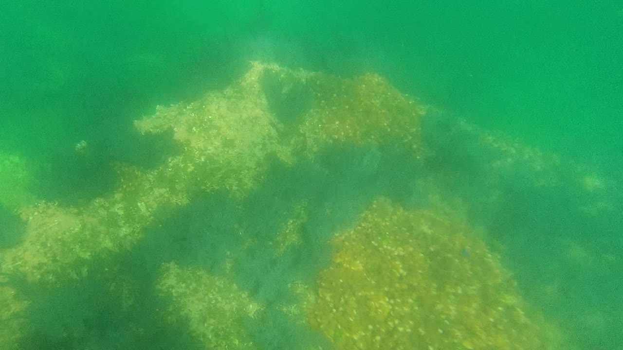 Opening underwater frame in Cabo Pulmo shows green water over pale rocks and algae-covered seabed patches, with no visible people.