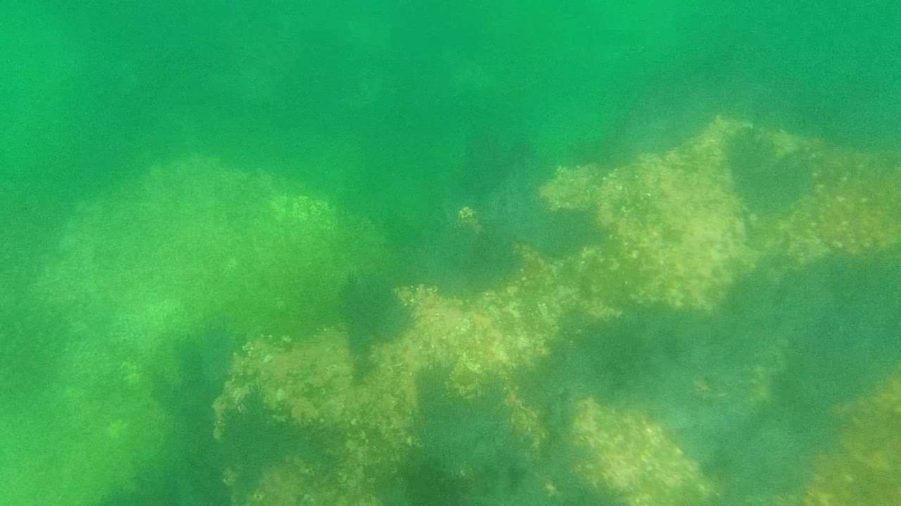 Third frame presents a slightly different spread of pale seabed rocks and darker algae patches in Cabo Pulmo, with no horizon and no visible people.