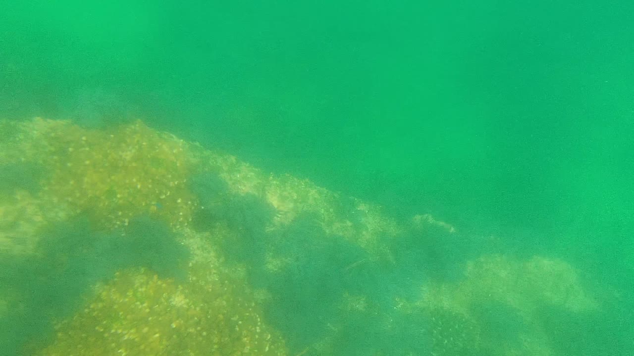 Underwater Cabo Pulmo seabed with rocks across the lower frame and open green water above, with no visible people.