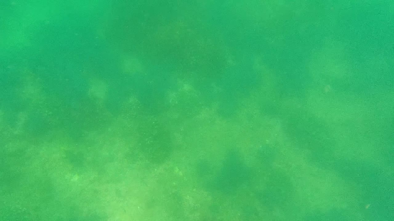 Opening underwater frame in Cabo Pulmo, Baja California Sur, with green-tinted water above a soft sandy ocean floor and no visible people.