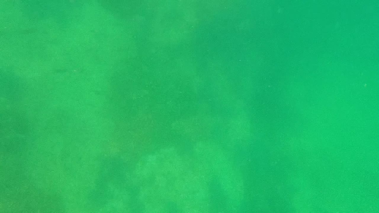 Green underwater view in Cabo Pulmo with faint rocky seabed texture visible through clear water and no visible people.