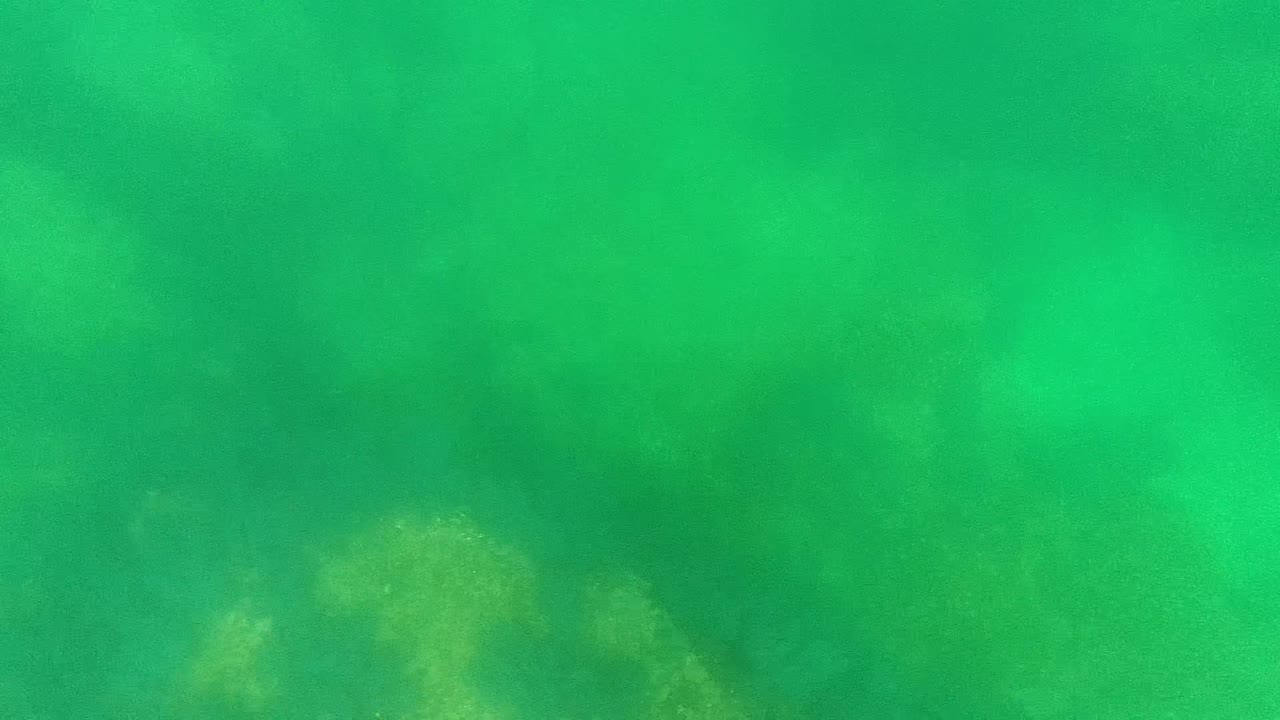 Opening underwater frame from Cabo Pulmo, Mexico, showing green-tinted clear water over faint coral formations and marine vegetation with no visible people.