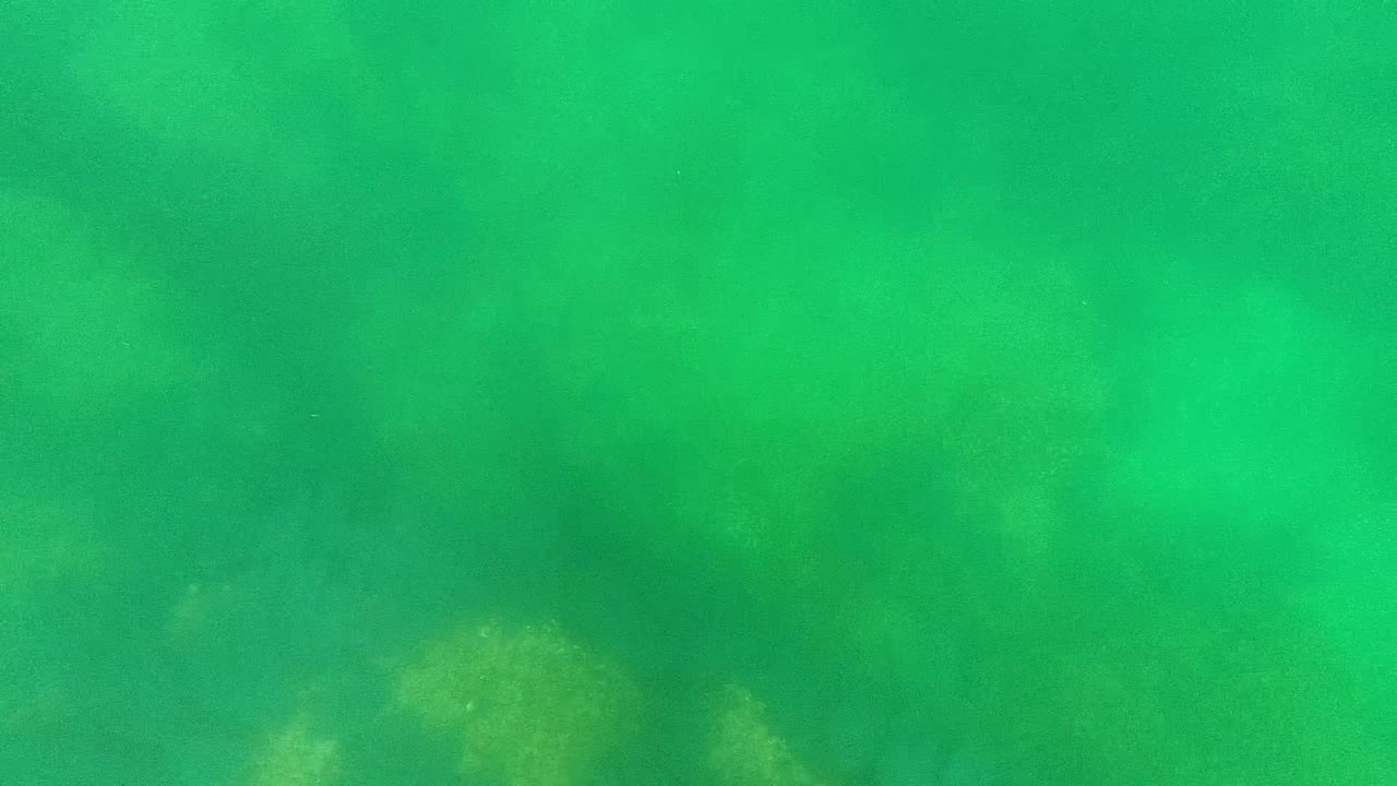 Green water over a hazy underwater bottom with soft reef shapes.