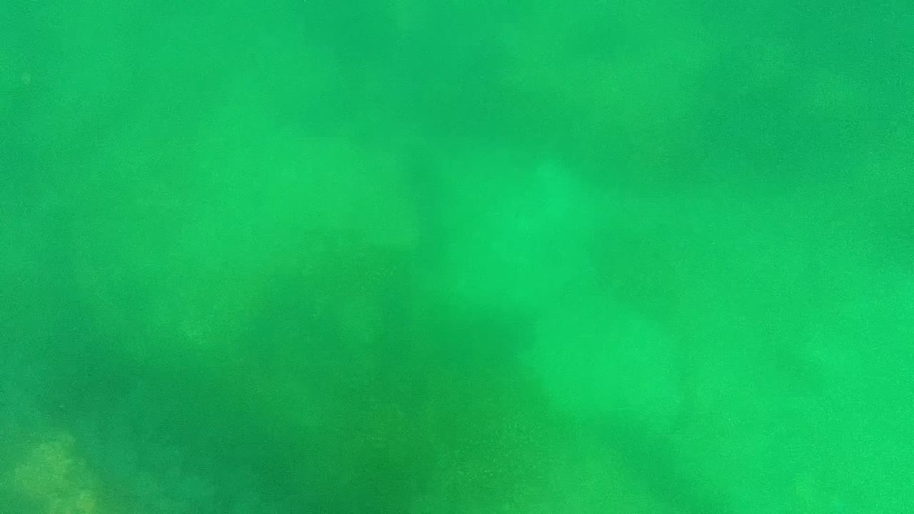 Green-tinted underwater frame from Cabo Pulmo with hazy open water, faint bottom texture near the lower edge, and no visible people.