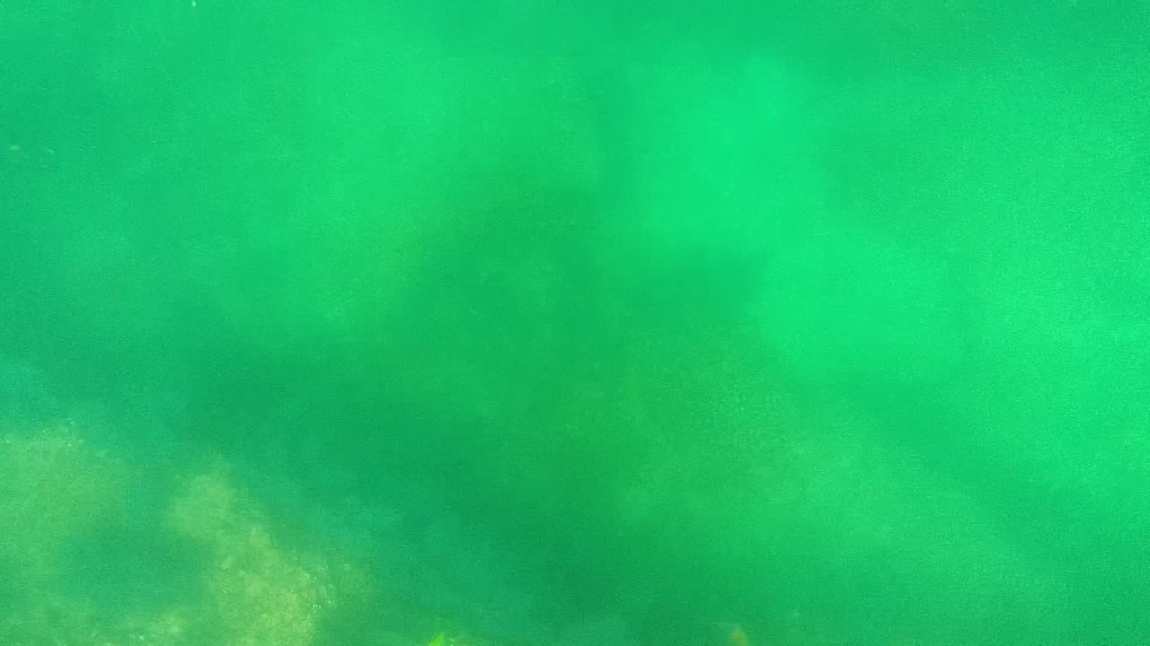 Green water with cloudy underwater texture