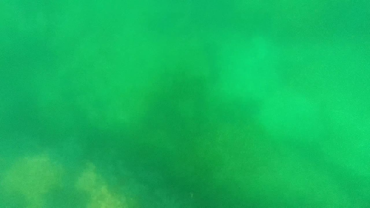 Hazy green underwater frame from Cabo Pulmo with dim seabed detail showing through the lower part of the image and no visible people.