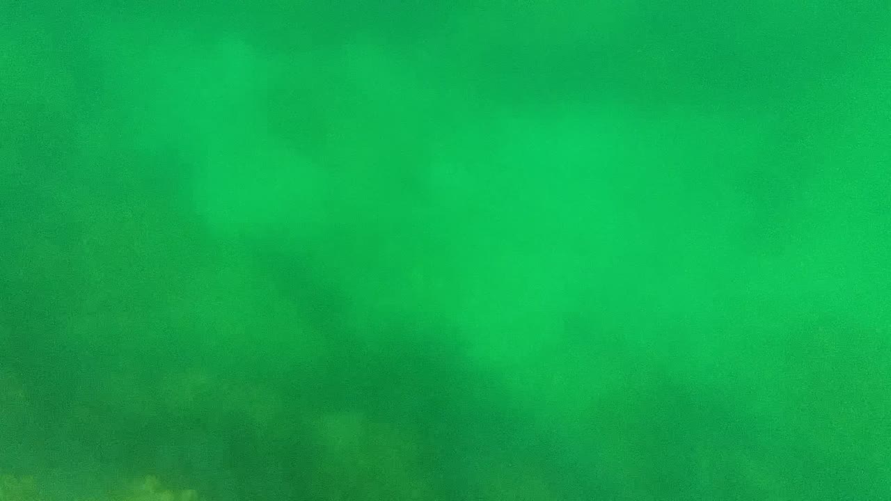 Green underwater water column with blurred bottom shapes.