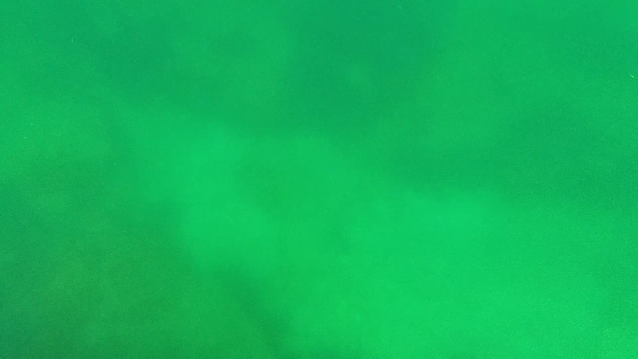 Opaque green underwater frame from Cabo Pulmo with faint algae patches across the background and no visible people.