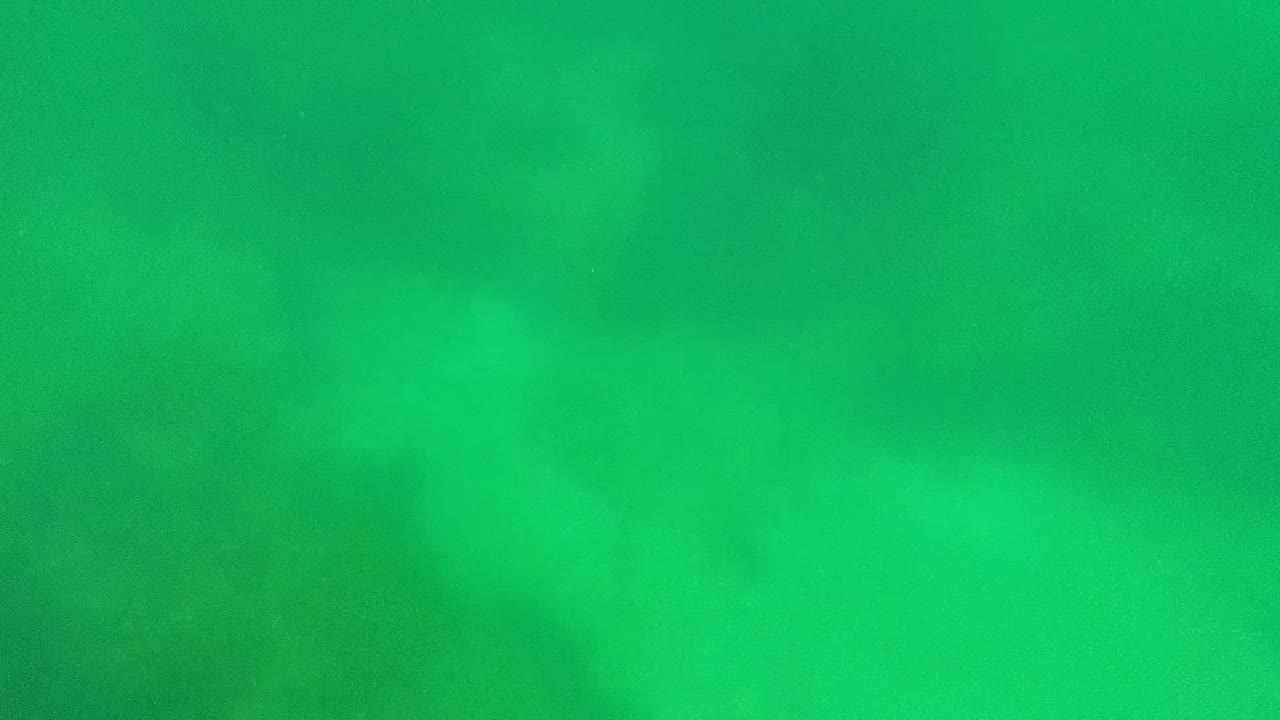 Murky underwater frame with green water and dark bottom texture.