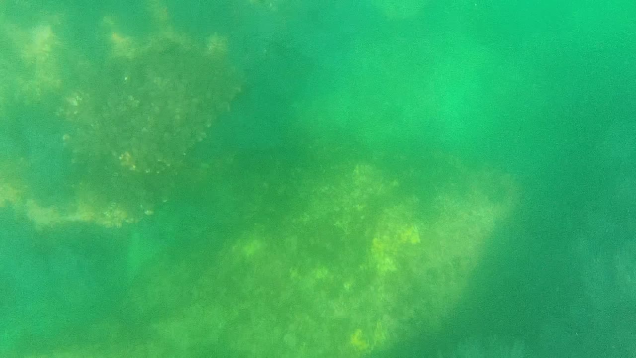 Underwater seabed with faint coral patches in green water.