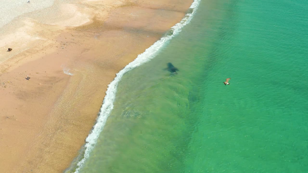 Overhead frame from Los Frailes, Los Cabos showing clear turquoise shallows, tan sand, a breaking wave line, and distant people near the shoreline.