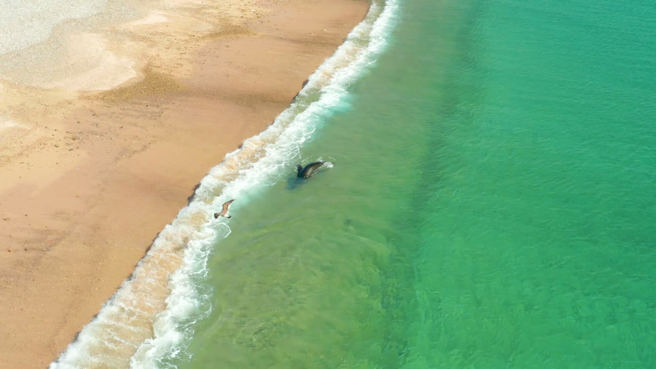 The aerial view over Los Frailes captures a person near the foamy shore break, broad turquoise water, and sand patterns just above the tide line.