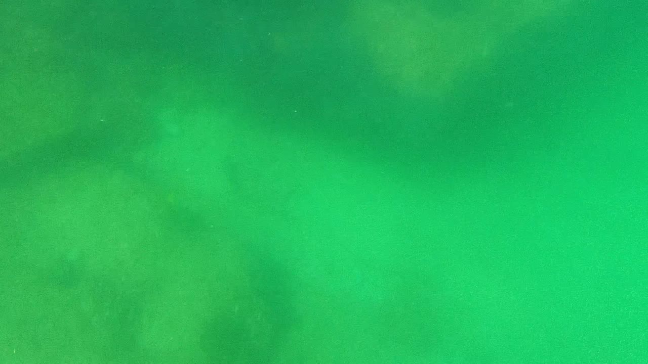 Green underwater view in Cabo Pulmo with faint darker seabed patches and no visible people.