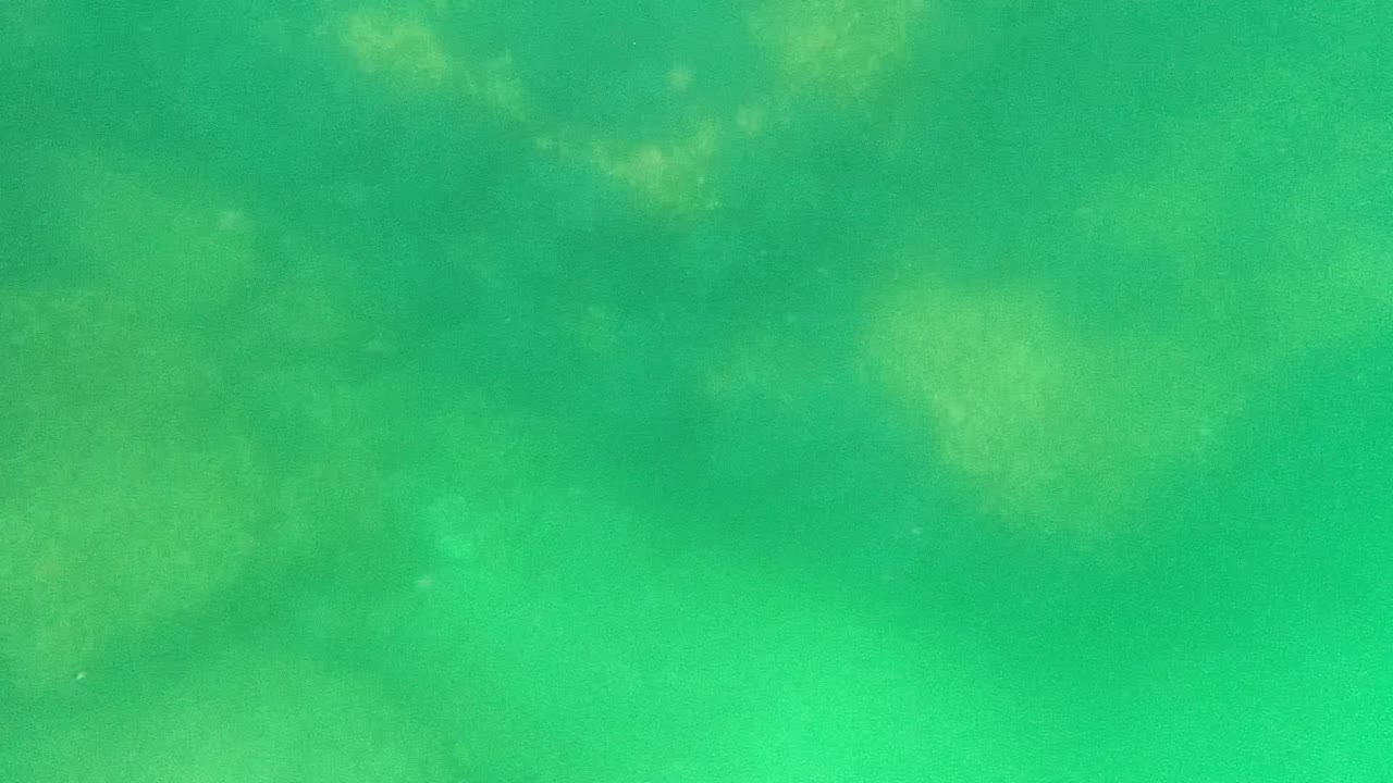Green water over pale and dark seabed patches.
