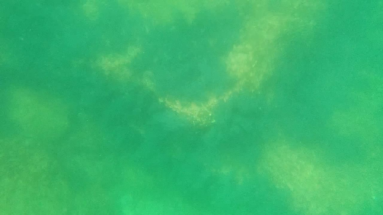Turquoise-green underwater view in Cabo Pulmo with soft seabed shapes beneath the water and no visible people.