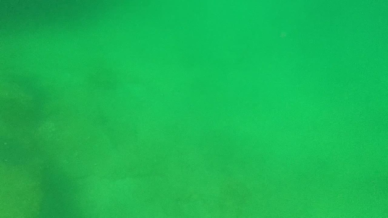 Mid-clip Cabo Pulmo underwater frame showing green water and a faint darker midframe shape, with no visible people.