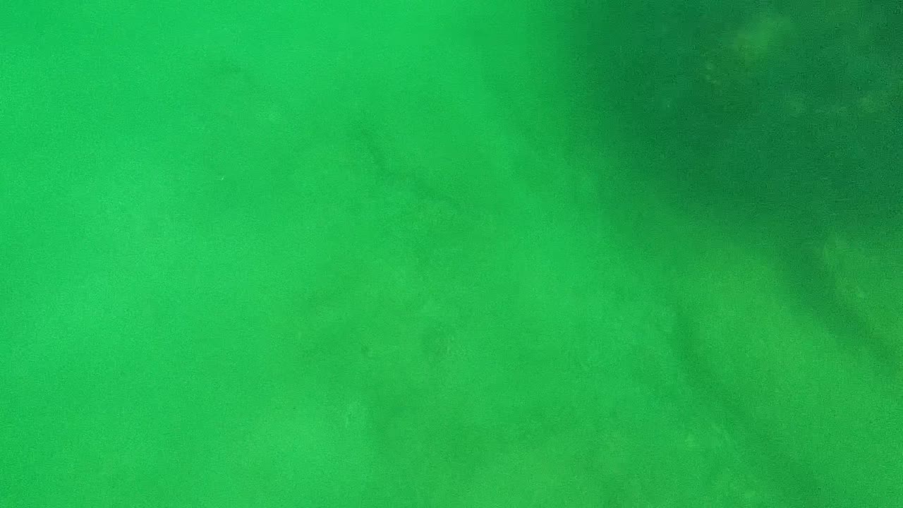 Green underwater view in Cabo Pulmo with faint cloudy sediment and no visible people.