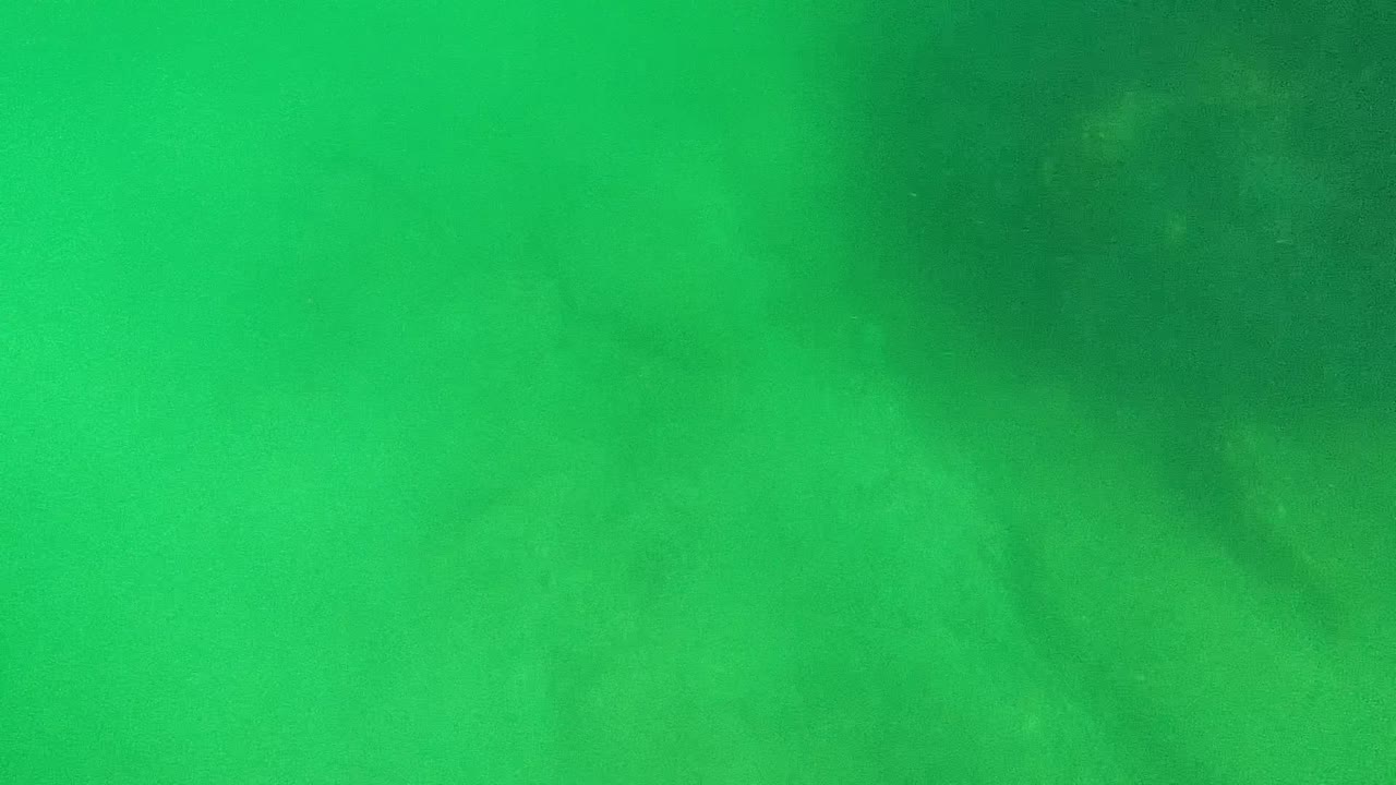 Murky green water with soft darker patches