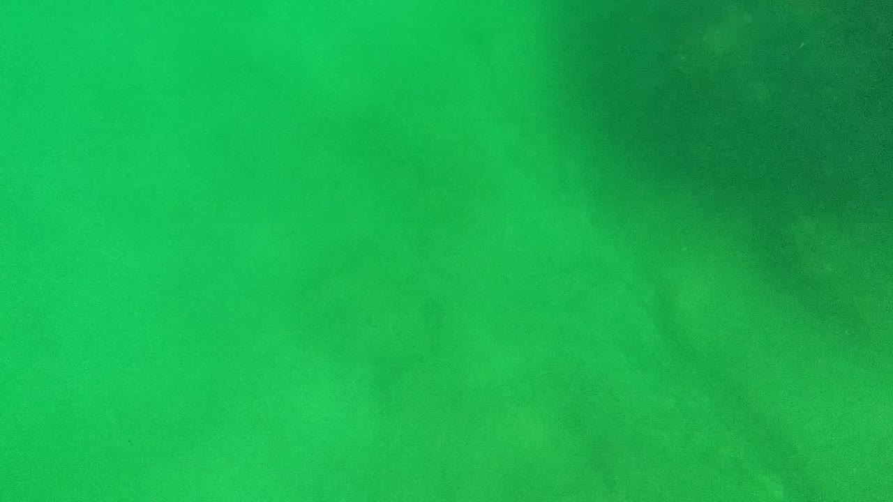 Green underwater haze in Cabo Pulmo with the sandy bottom mostly obscured and no visible people.