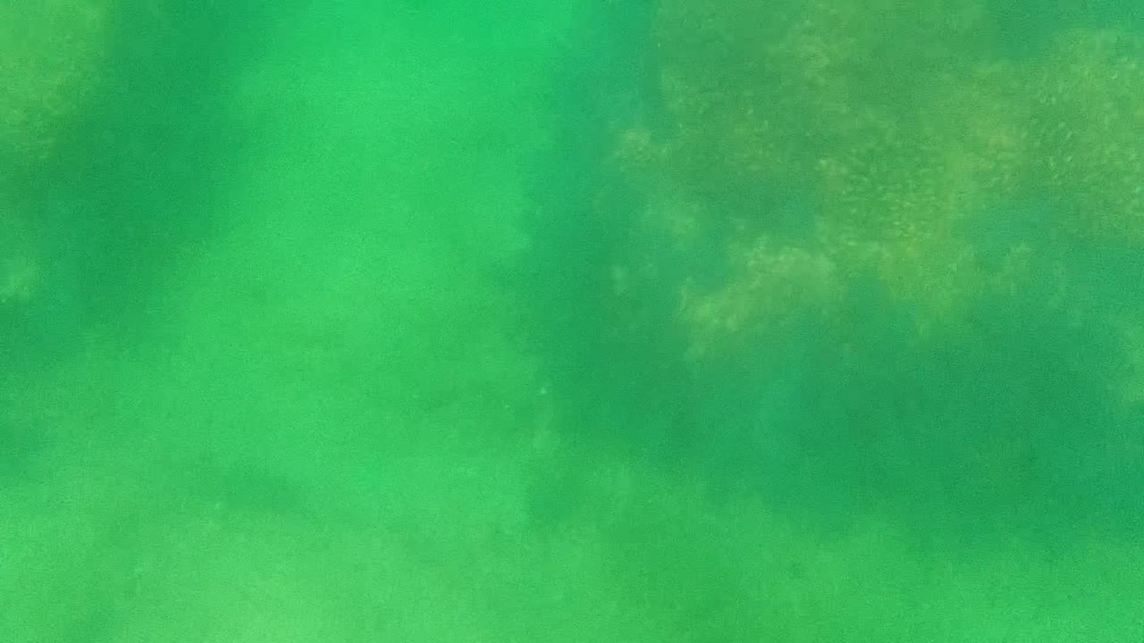 Submerged sandy bottom with faint pilings and green water haze.