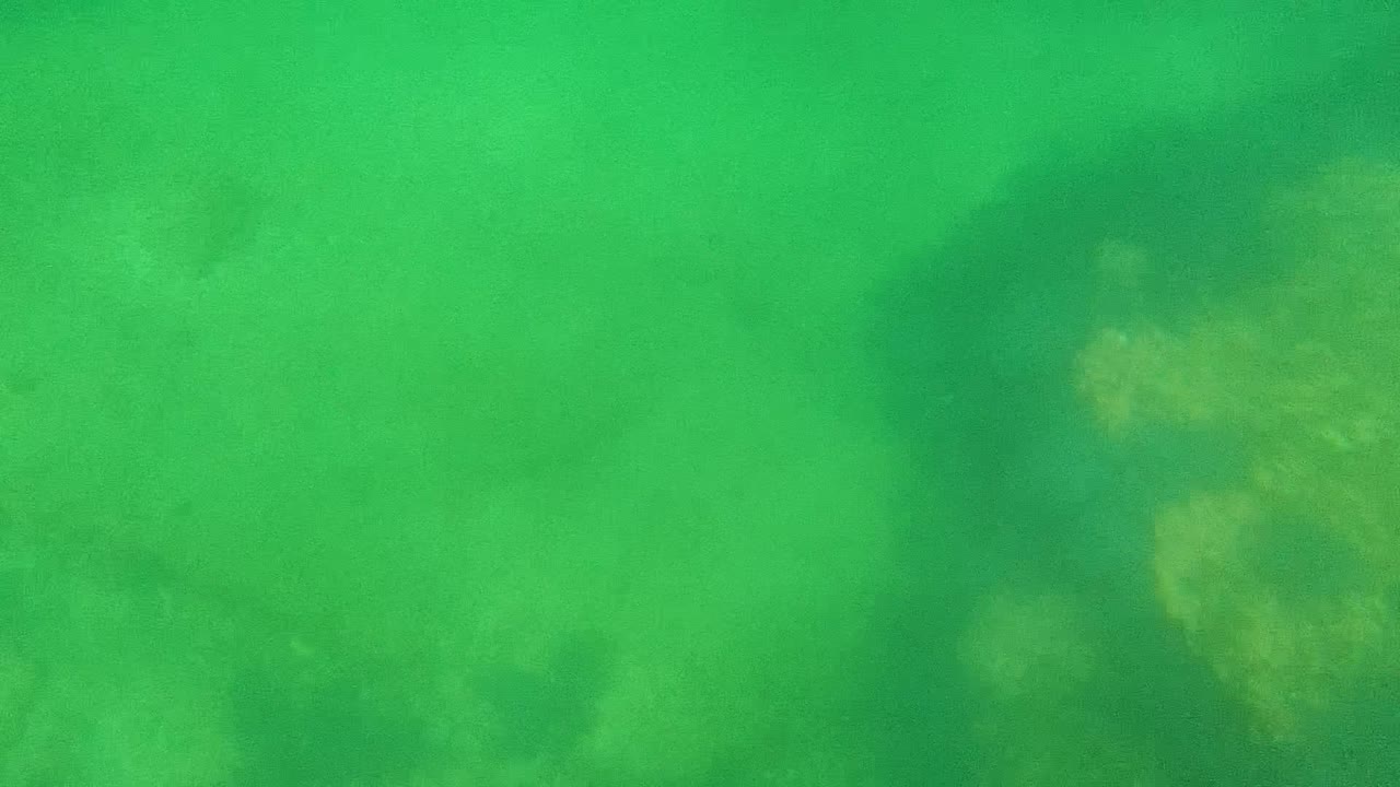 Opening underwater frame from Cabo Pulmo, Baja California Sur, with green water over a sandy seabed, faint darker coral or rock patches, and no visible people.