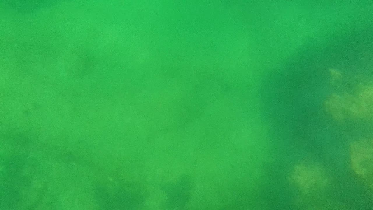 Sandy ocean floor under green water with darker seabed patches