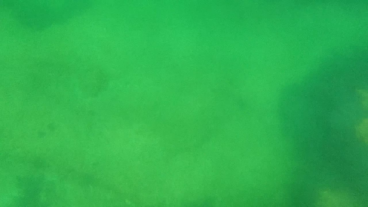 Mid-clip underwater view in Cabo Pulmo with pale sand filling the lower frame, green water above it, soft coral or rock shapes, and no visible people.