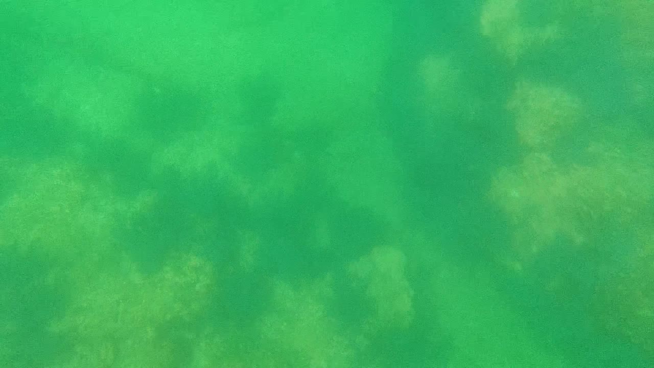 Early frame from Cabo Pulmo showing green water over soft, faint patches of algae and rocky substrate, with no visible people.