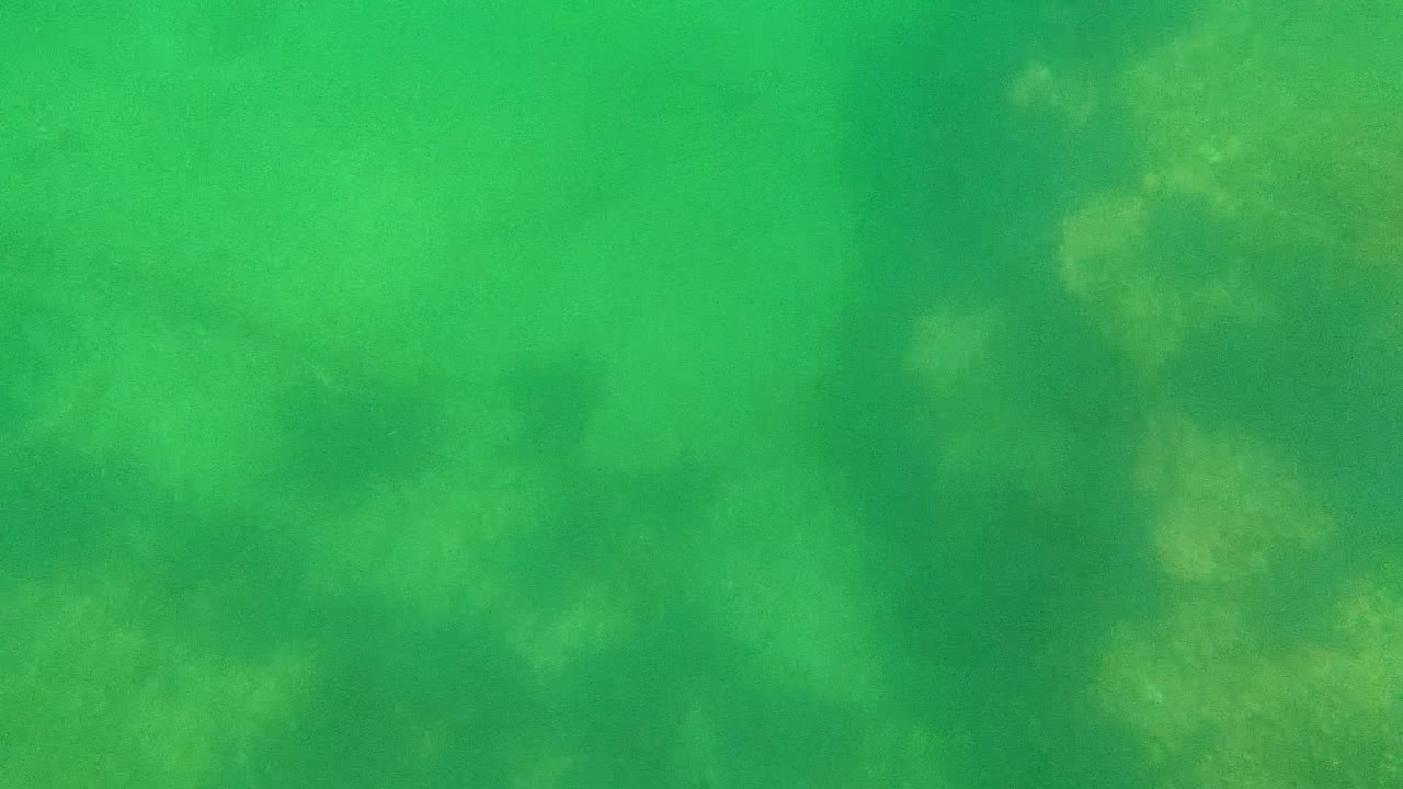 Murky green water over dim rocky seabed texture.