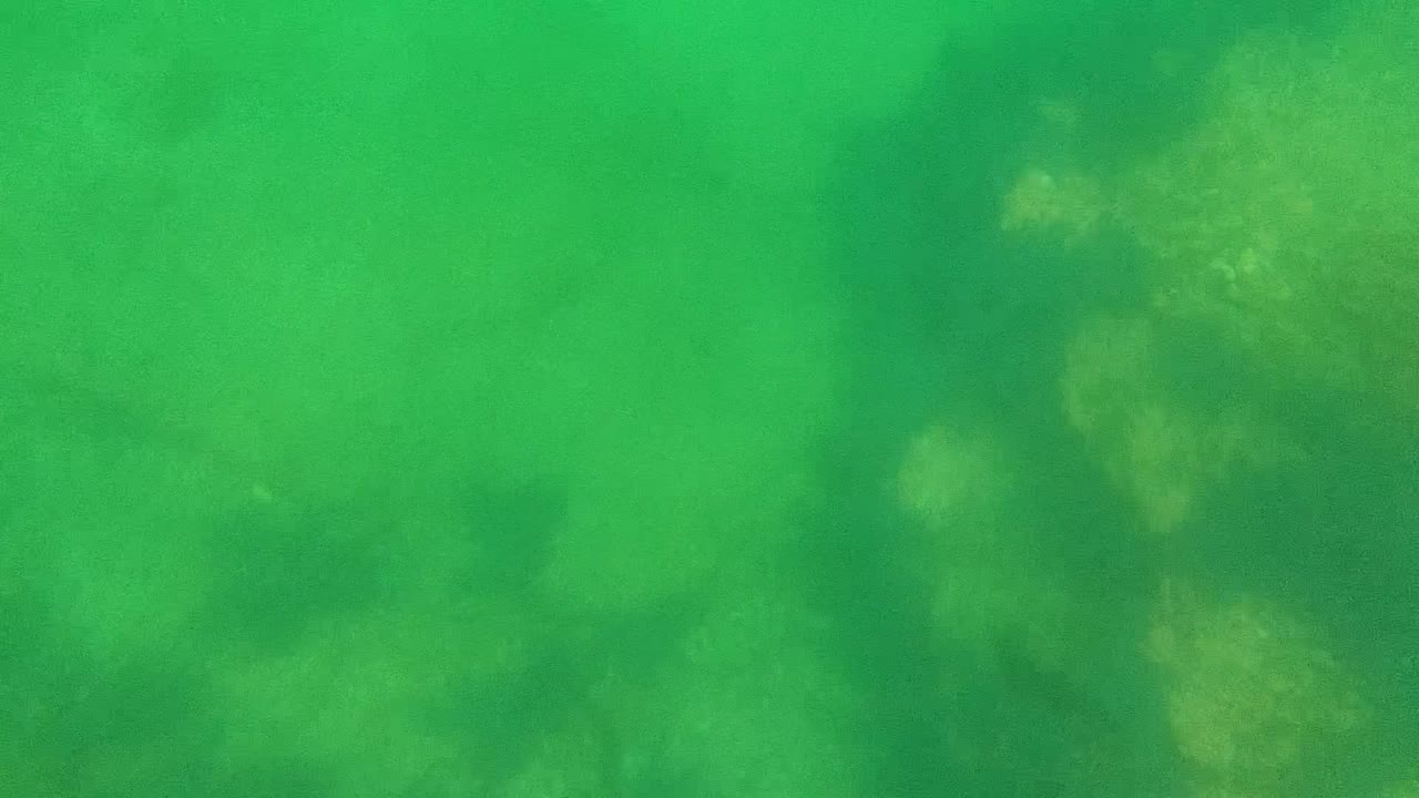 Mid-clip Cabo Pulmo frame showing pale algae patches and rock forms under green-tinted water, with no visible people.
