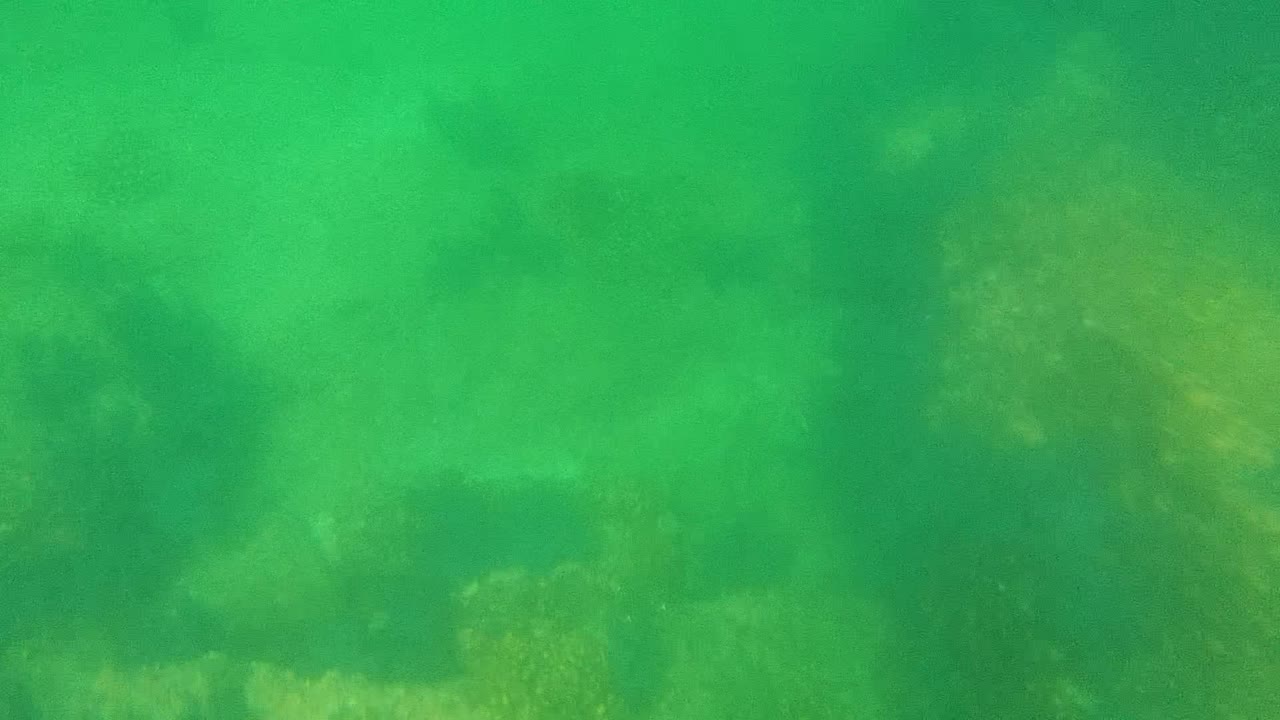 Green underwater view in Cabo Pulmo with faint rocky seabed forms visible through the water and no visible people.