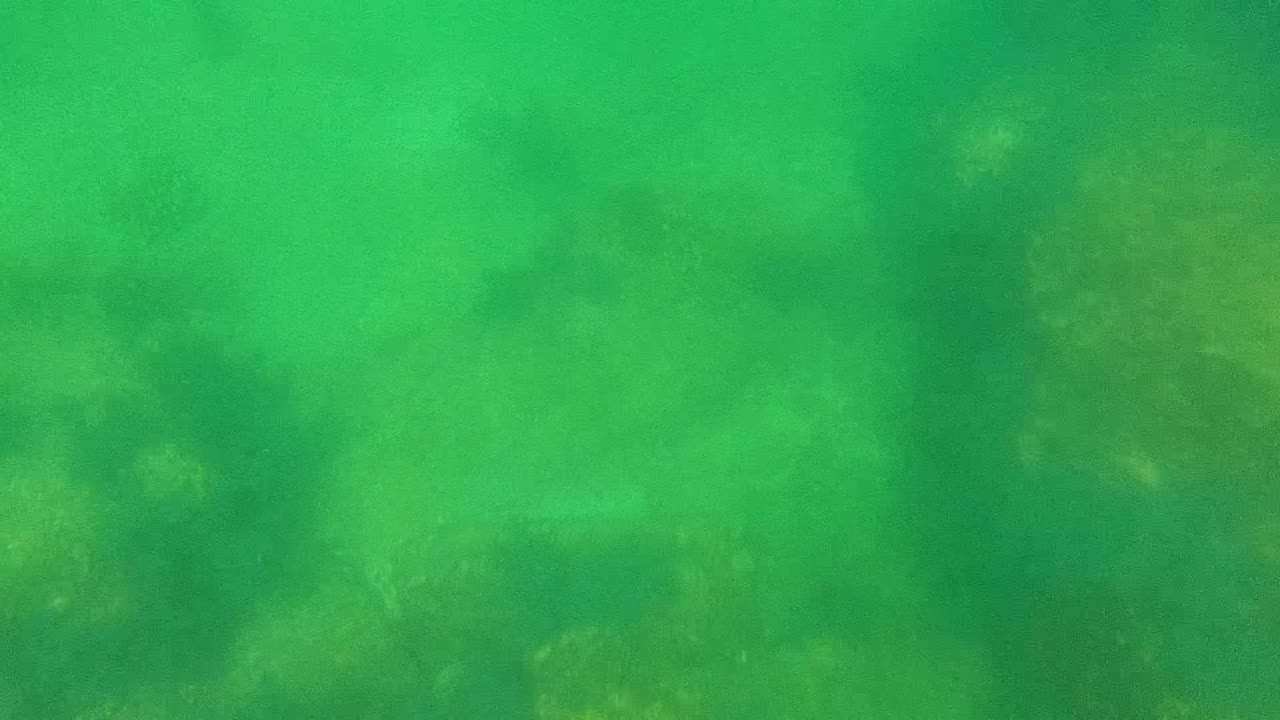 Green water over a dim rocky ocean floor.