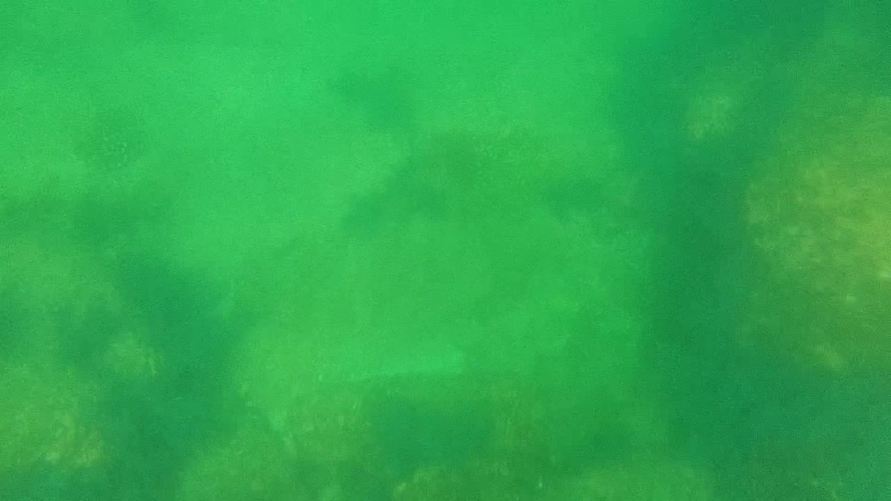 Underwater Cabo Pulmo frame with darker rock or coral patches behind the green water and no visible people.