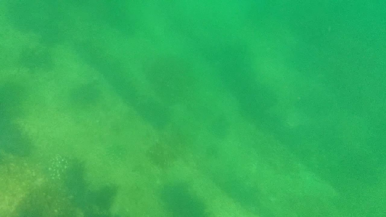 Green-tinted ocean floor with algae and shadowed rock forms