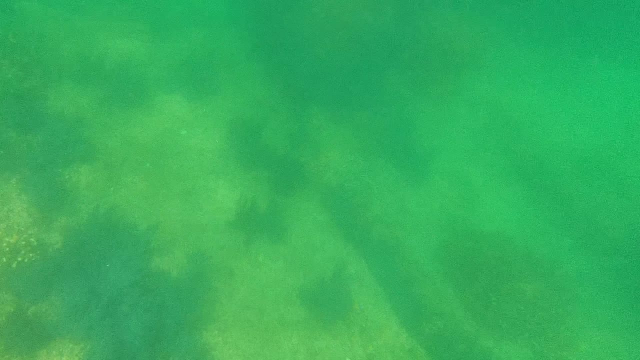 Cabo Pulmo underwater frame with pale algae mottling across the seabed, darker rock shapes beneath the water, and no visible people.