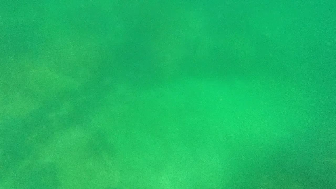 Rocky underwater bottom seen through green water.