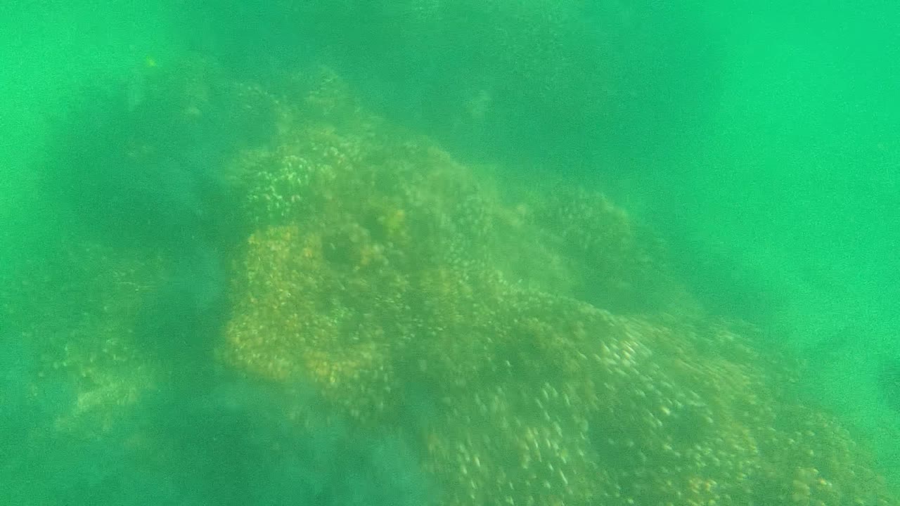 Green-tinted underwater view of coral and rock formations in Cabo Pulmo, Mexico, with hazy water and no visible people.