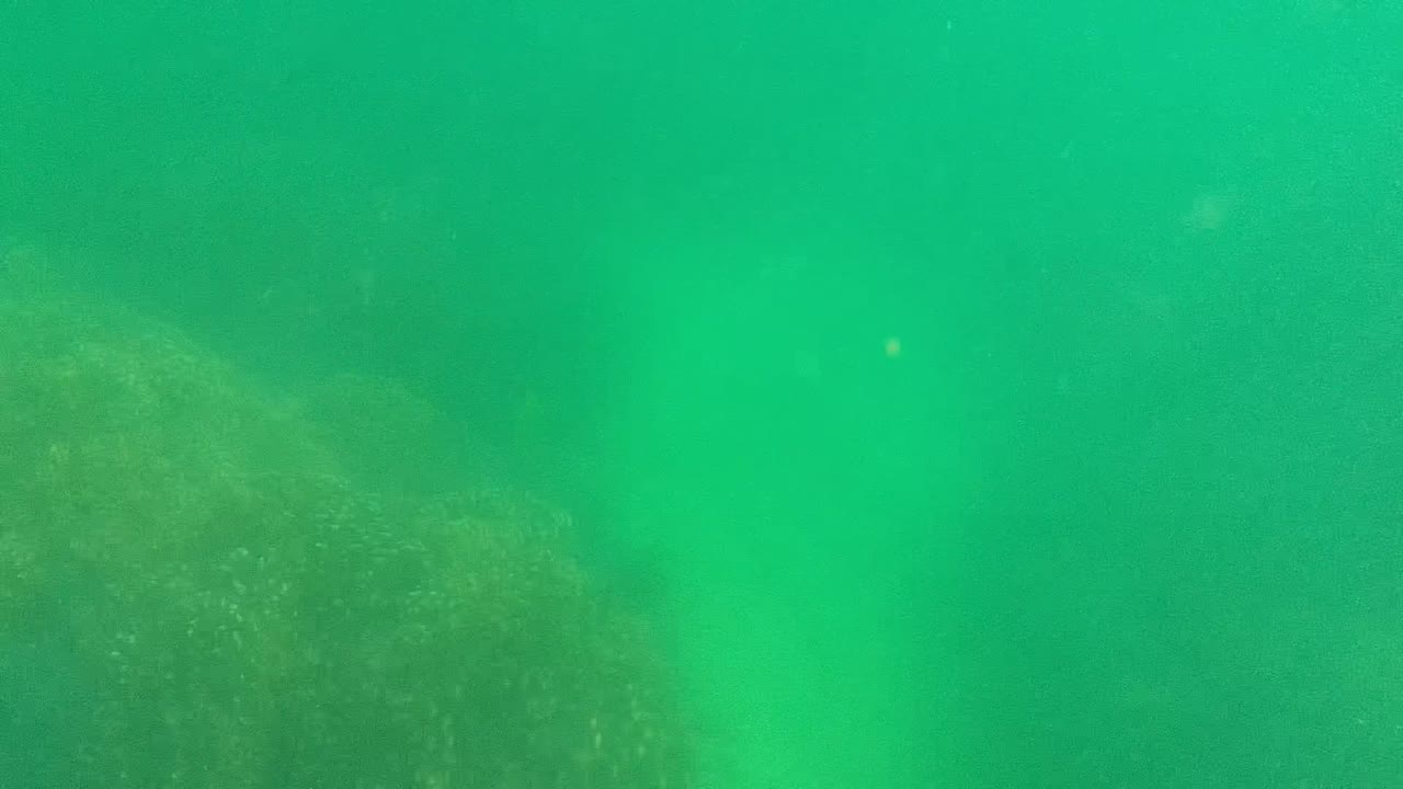 Small fish gather around a central underwater rock formation.