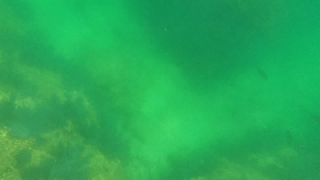 Underwater sediment cloud spreading across rocks in green water.