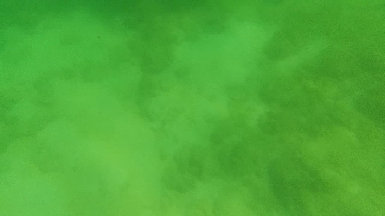 Opening frame of a green-tinted underwater seabed in Cabo Pulmo, Baja California Sur, with sand and dark coral patches visible through murky water and no visible people.