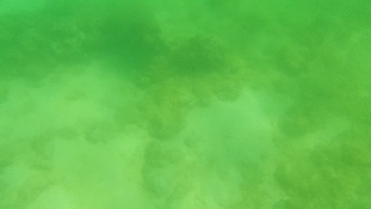 Third frame keeps the view low over the Cabo Pulmo ocean floor, where sand and dim coral shapes sit beneath a green suspended-water layer with no visible people.