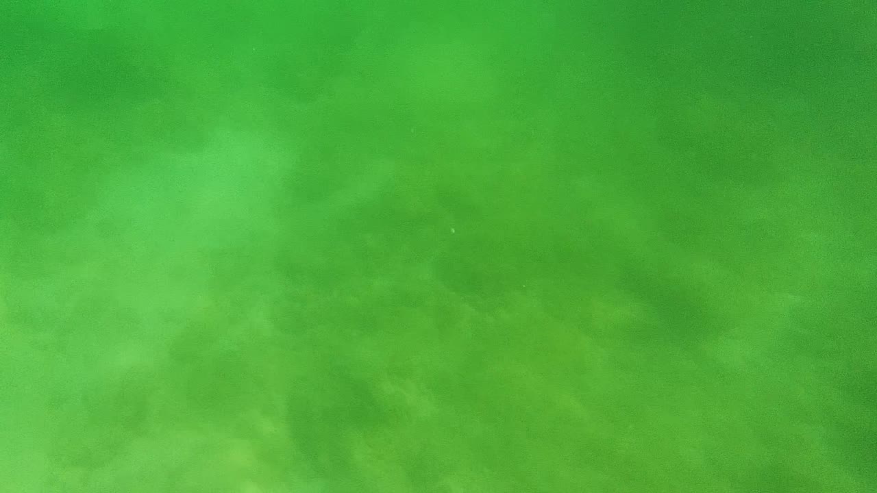 Green underwater frame from Cabo Pulmo, Mexico, with low coral or rock texture softened by suspended haze and no visible people.