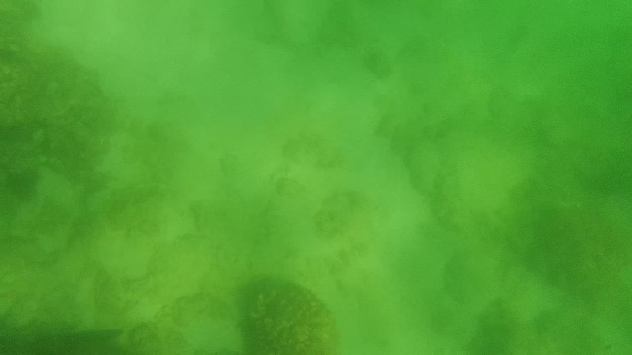 Cloudy green water softens the view of coral formations and sand on the Cabo Pulmo seabed, with no visible people.