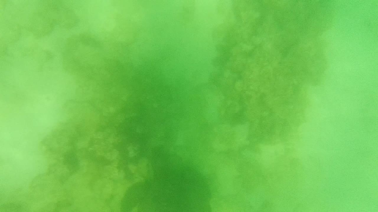 Sea turtle centered in cloudy green water with dark reef texture.